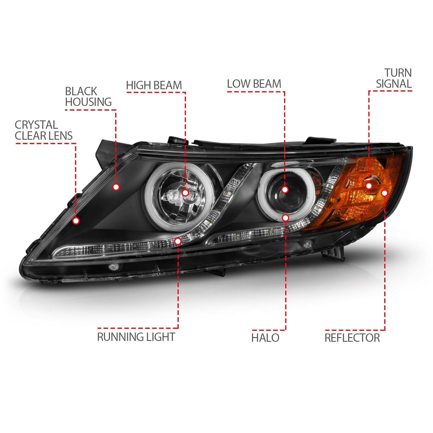 Product Image 4 - Updated on 2025-03-22 05:15:14